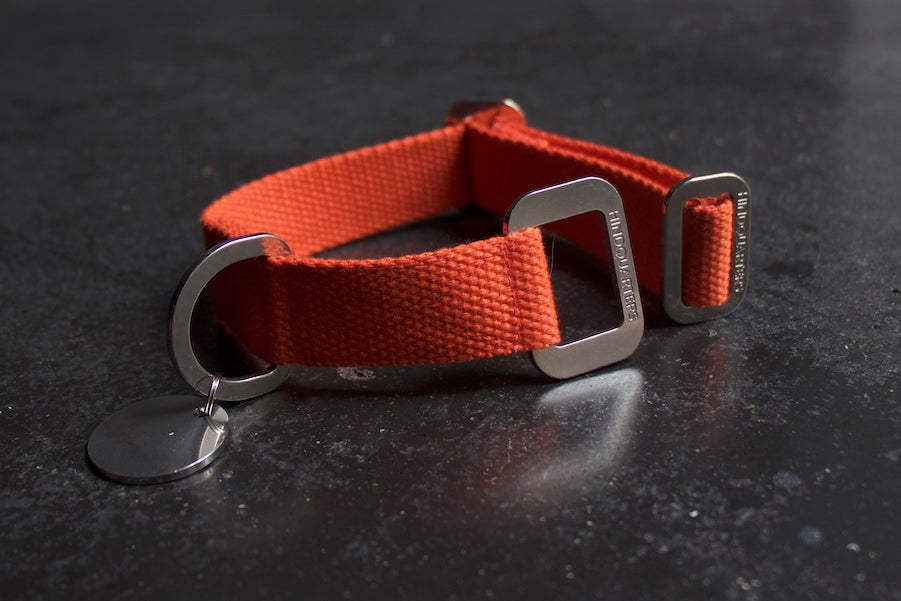 Small orange dog collars