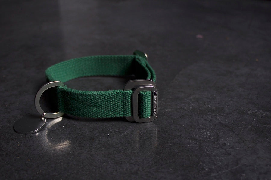small green dog collar