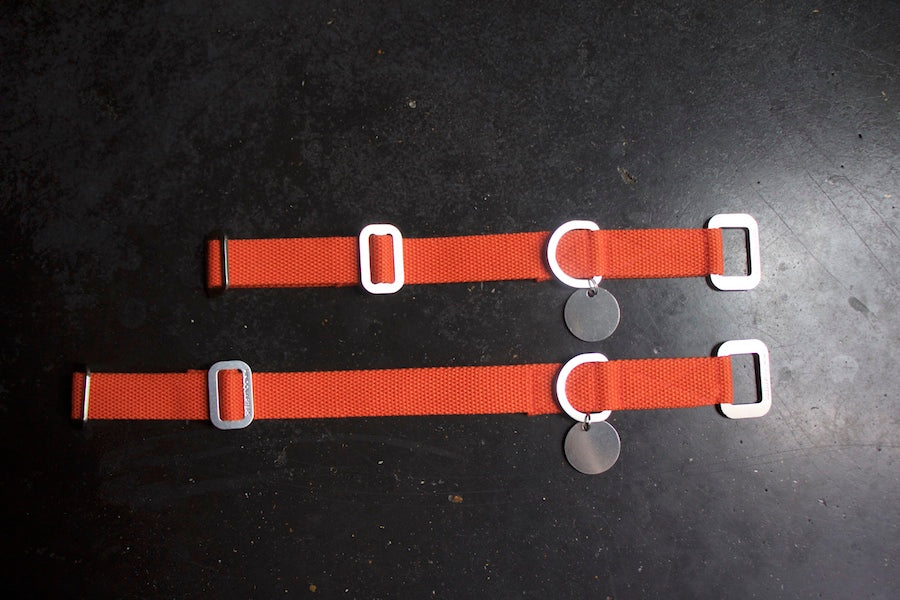 small orange dog collars