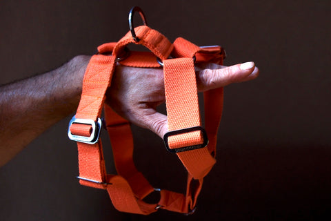 smart orange harness